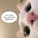 2. 미국 J-1 비자 인터뷰 망할뻔한 후기 /비자 인터뷰 준비물/인터뷰 질문/대기시간/비자 인터뷰 복장...