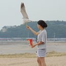 솔밭수상레저 이미지