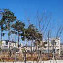 종다리공원 이미지