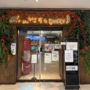 거북이게임장 | [내돈내산] 판교 파미어스몰 Cafe거부기 앤 쿠펫 판교점 N번째 방문 후기 (먹이주기체험, 재입장 가능)🐢