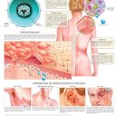 열린가정의원 이미지