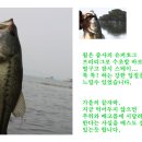 탑정저수지 배스낚시 이미지