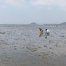 몽산포자동차야영장 이미지