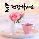 2026년2월10일,홰요일.성녀 스콜라스티카 동정 기념일.＜너희는 하느님의 계명을 버리고 사람의 전통을 지킨다.＞김갑룡신부,공덕동성당ㅇ 이미지