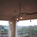 당근민박 이미지