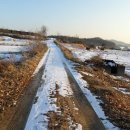 동막동(3) 이미지