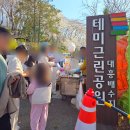 대전광역시노인복지관 | 대전 벚꽃 명소 테미공원 4월 첫주 개화 현황