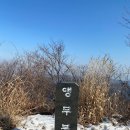 앵무봉 이미지