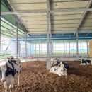 신규농장 이미지