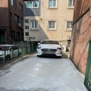 미지빌딩 | 신사역 바버샵 에스트바버샵본점 미지바버님 볼륨매직+다운펌 후기