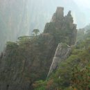 서해카써비스 이미지