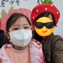 연철2농장 | 용인 딸기농장체험 - 딸기랑소풍가기좋은날 / 경기도 딸기체험농장 (feat. 남사면옥)
