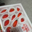 일상 | [25년 12월 13~14W] 임신 안정기 돌입 쫀쫀이의 성별 각도법 일상 후기