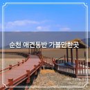 노루유치원 | 순천 3박4일 애견동반 여행후기 가볼만한곳