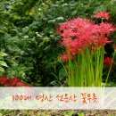 동막2농장 이미지