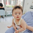 라벤더에쉬