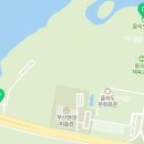 하단동1169 이미지