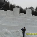 당골2 Daum카페