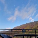 밀양도래재자연휴양림 이미지