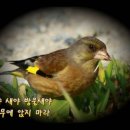 버들곡 이미지