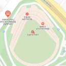 216 | 수원kt위즈파크 중앙지정석 216구역 자리 후기