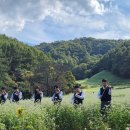 다다예술학교 이미지