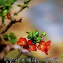 두루중학교 이미지