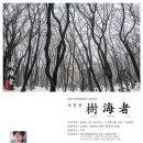 나무와 해(海) 이미지