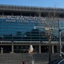 멋내는 강아지 이미지