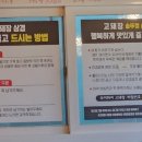 고돼장 이미지
