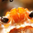 도담컴퍼니 이미지