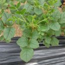 경희감초한의원 이미지