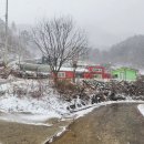 산내면 상황마을 Daum카페