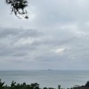 참참3급부분정비 | [캠핑장] 태안 솔향기길캠핑장