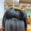 악성곱슬 그분이 오셨다 창원에서 모두긴장하라 지금은 실제상황 손상모에 망한머리망친머리 우야꼬? 부산사상구르네시떼미용실6층 사상홈플러스7 이미지