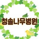 [1종나무병원/수목방제/수목진료/수목진단] 대구광역시 달서구 소재 학교, 기업체 - 부지 내 고사목, 위험목 벌채작업 이미지
