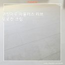 유현마을 신동아상가 | 김포 유현마을 신동아49평 아파트 구정마루 마뷸러스리브 모로칸크림 마루시공후기