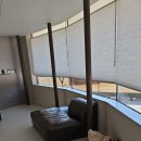 빌라누트 이미지