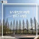 창구농장 네이버블로그