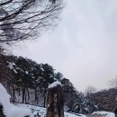 대관령자연휴양림 이미지