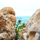 은희목장 이미지