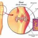 가산곧바로의원 이미지