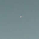 아베끄망펜션 이미지