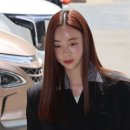 강남 서울신문