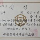 대전문화여자중학교 티스토리