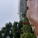 26-8/21-금 양평해장국-아침밥 광명경륜장공원-산책 영화/오디세이-관람 빵구입-저녁 이신형내과-상담 이미지