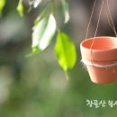 병원전도 이미지