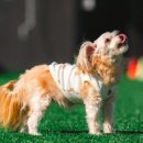 파주힐링몽 이미지