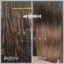 씨엠헤어 - 동해시 | 씨엠헤어