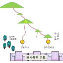 정치인들의 선영 이장을 바라보면서 이미지